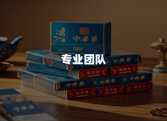 专业团队